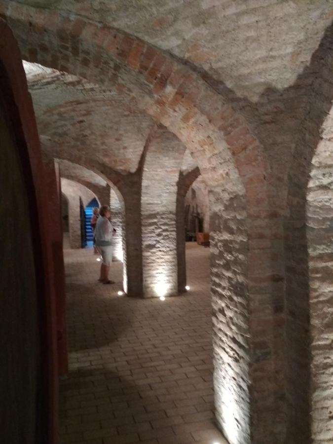Apartament Golya Vendeghaz Tiszaug Zewnętrze zdjęcie
